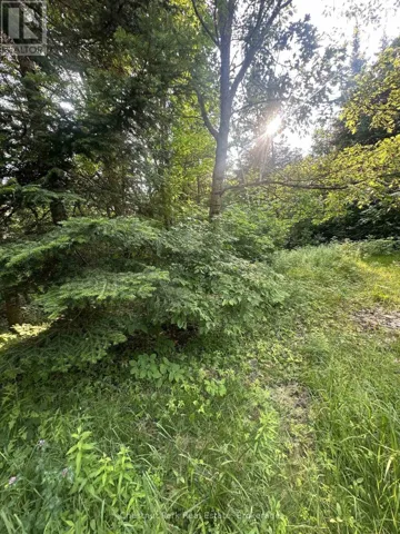 50 ROSE BUSH LANE, Perry (Scotia), Ontario P0A1J0