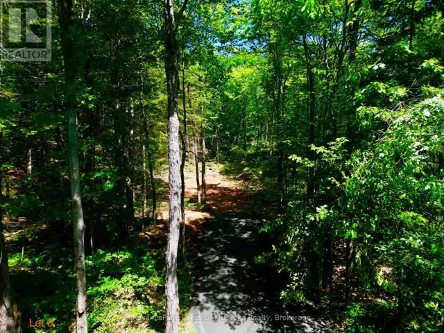 LOT 6 FAIRY FALLS ROAD, Lake of Bays (Mclean), Ontario P0B1A0
