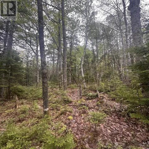 Lot 22 Moose Pit Road, Westfield, Nova Scotia B0T1B0