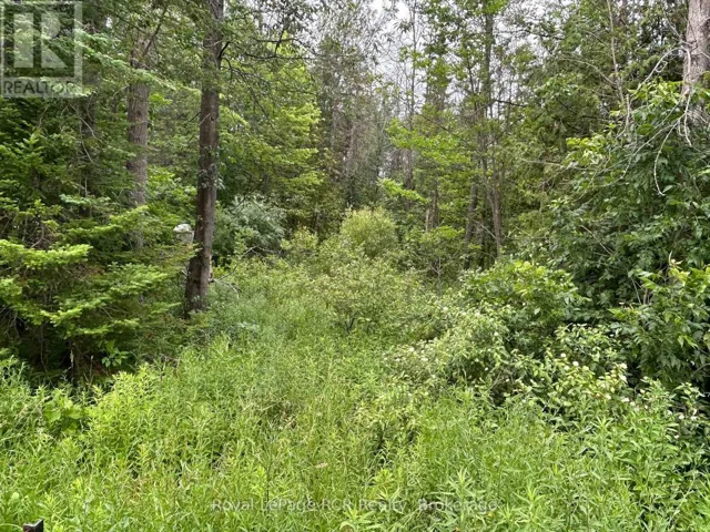 PART LOT 2 CONC 17 ROAD, Georgian Bluffs, Ontario N0H2T0