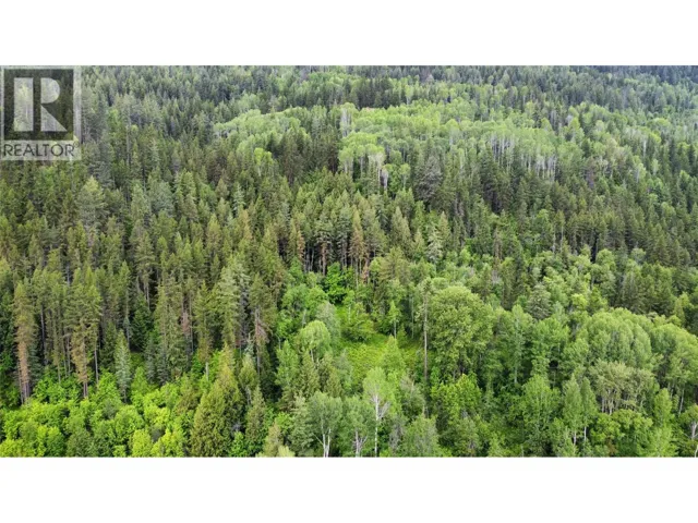 Lot 8 Arrow Lakes Drive, Castlegar, British Columbia V1N3N3