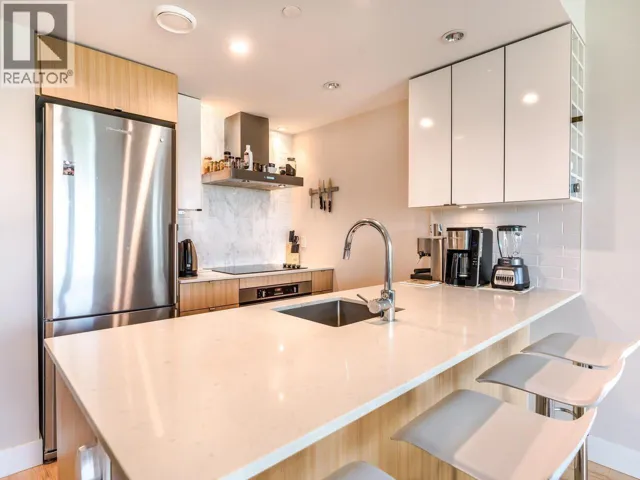 701 159 W 2ND AVENUE, Vancouver, British Columbia V5Y0L8