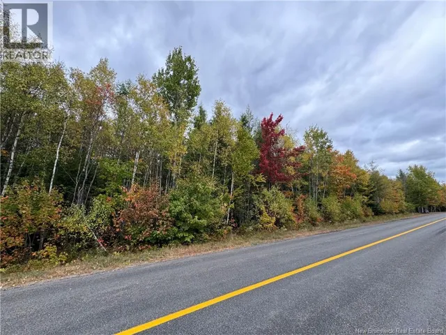 Blueberry Lane, Codys, New Brunswick E4C1E3