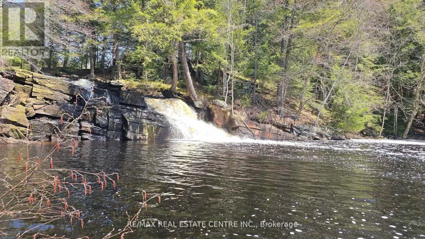 1033 NORTH SHORE DRIVE, Gravenhurst (Muskoka (S)), Ontario P1P1R1