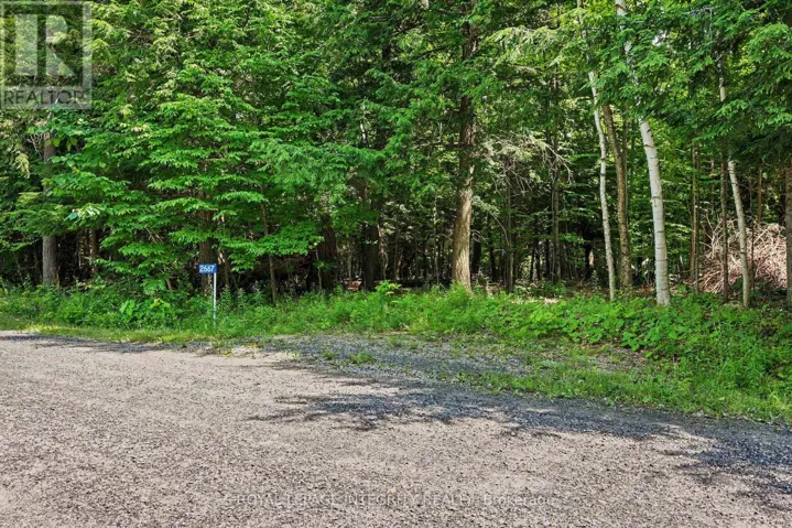 2667 PALMER ROAD, Tay Valley, Ontario K7H3C9