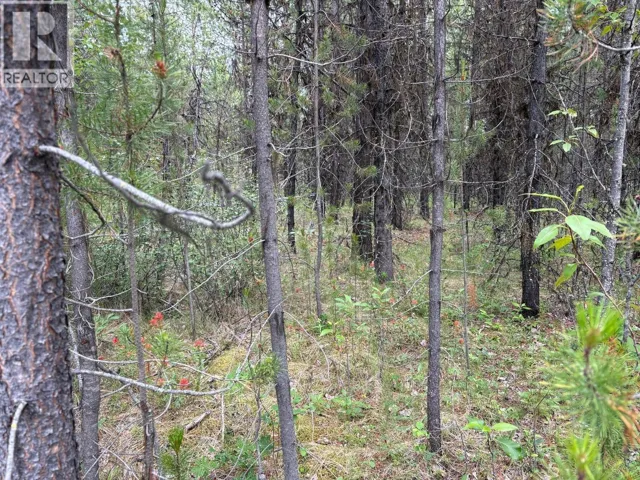 LOT 3 HORSE LAKE ROAD, Deka Lake / Sulphurous / Hathaway Lakes, British Columbia V0K2E3