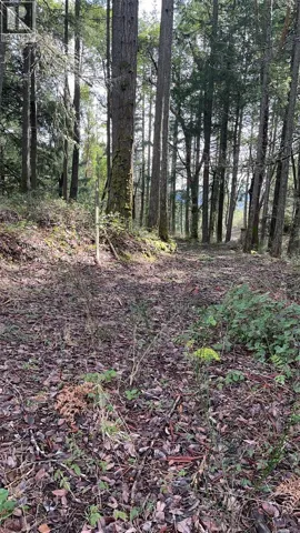 Lot A Ebadora Lane, Malahat, British Columbia V0R2L0