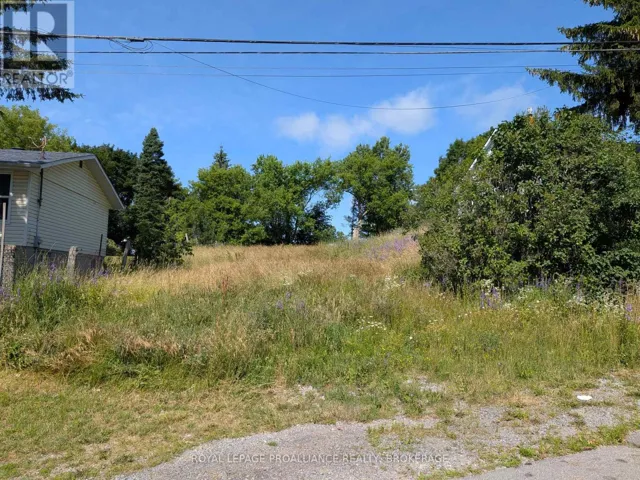 20 SHAW STREET, Kingston (Rideau), Ontario K7K4Y4