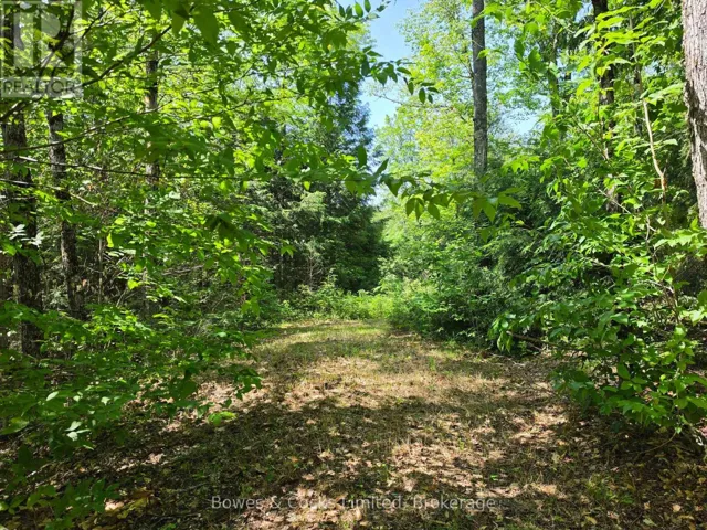 1160 BALMER ROAD, North Kawartha, Ontario K0L1A0