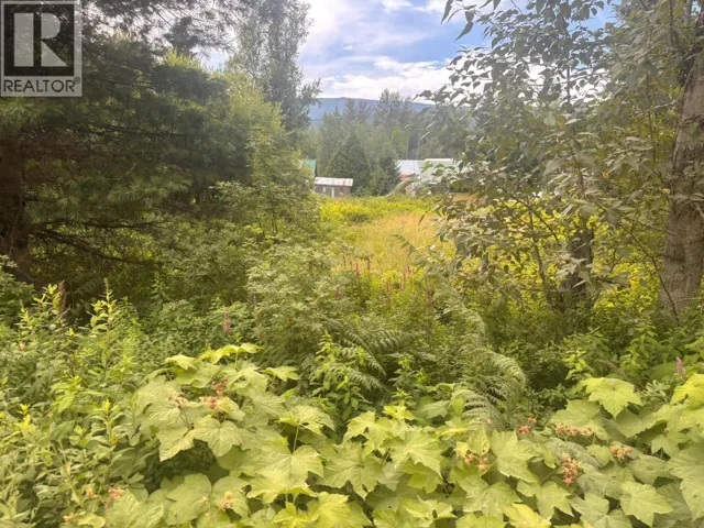 Lot 47 Abbott Road, Seymour Arm, British Columbia V0E2V2