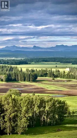 6029 Township Road 332, Rural Mountain View County, Alberta T0M1X0