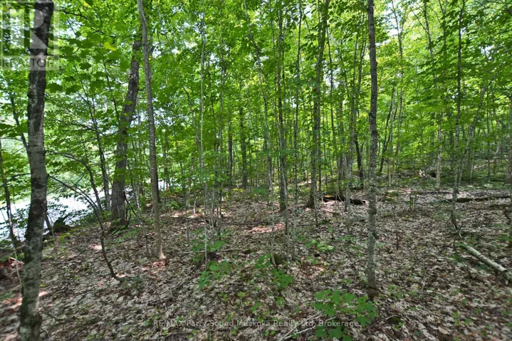 PART 1 - 0 LYNDSEY LANE, McKellar, Ontario P2A0B5