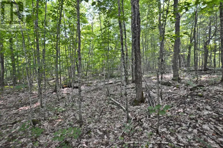 PART 2 - 0 LYNDSEY LANE, McKellar, Ontario P2A0B5