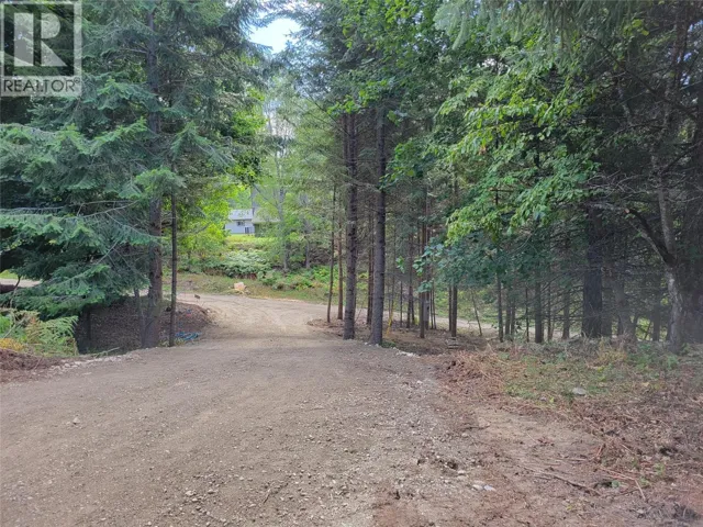 Parcel A 11TH Avenue, New Denver, British Columbia V0G1S1