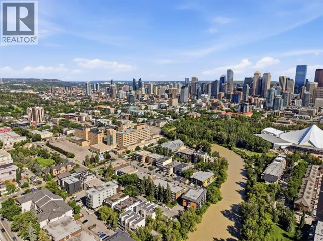 401, 110 24 Avenue SW, Calgary, Alberta T2S0J9