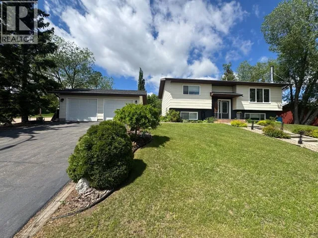 5001 45 Street, Sedgewick, Alberta T0B0C4