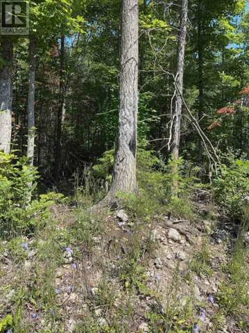 LOT 30 WHITE VALLEY ROAD, Trent Lakes, Ontario L1G4E9