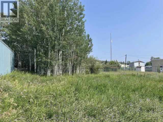 5028 W 51 AVENUE, Fort Nelson, British Columbia V0C1R0