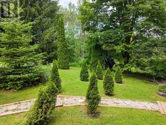 780