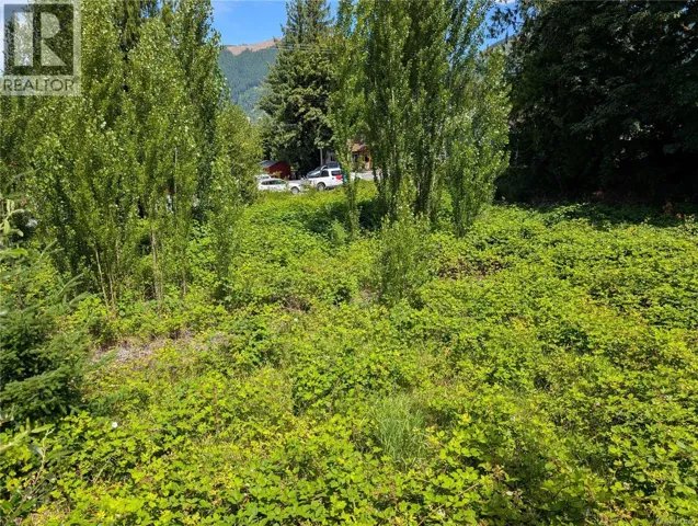 172 South Shore Rd, Lake Cowichan, British Columbia V0R2G0