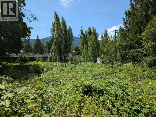 96 Cowichan Ave, Lake Cowichan, British Columbia V0R2G0