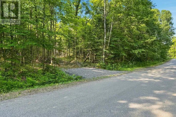260 LOCH ERNE ROAD, McDougall, Ontario P2A2W7