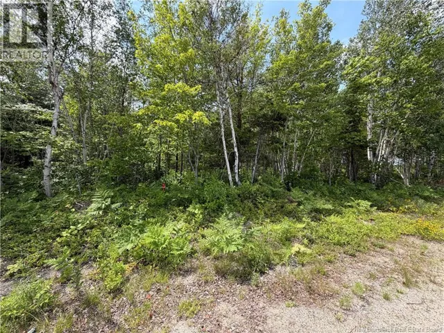 Lot 3 O'Keefe, Miramichi, New Brunswick E1V6J3
