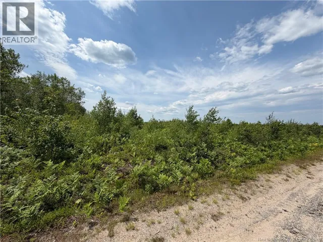 Lot 4 O'Keefe Road, Miramichi, New Brunswick E1V6J3