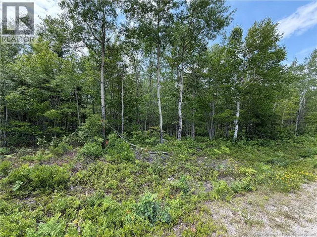 Lot 2 O'Keefe Road, Miramichi, New Brunswick E1V6J3