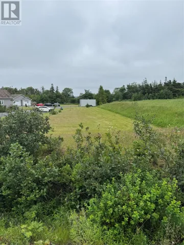17 Middle Ridge, Conception Bay South, Newfoundland & Labrador A1X6B4
