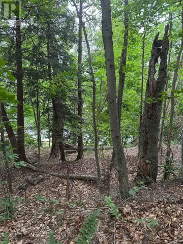 2073 SILVER ROCK LANE, Frontenac (Frontenac South), Ontario K0H2W0