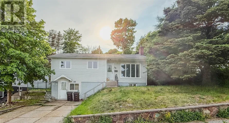39 Wicklow Street, St. John's, Newfoundland & Labrador A1B3H4