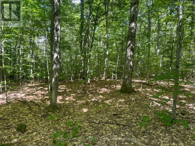 PCL 9490 SEC NS, Nipissing, Ontario P0H1J0