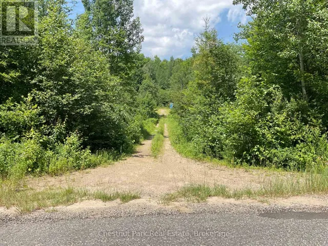 310 SUPER SIGN ROAD, Perry (Emsdale), Ontario P0A1J0