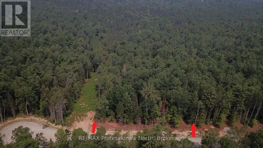 01 SALE ROAD, Lake of Bays (Franklin), Ontario P0A1H0