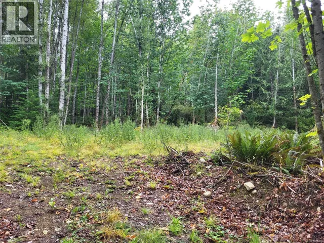 Lot B 7531 Cowichan Lake Rd, Lake Cowichan, British Columbia V0R2G0