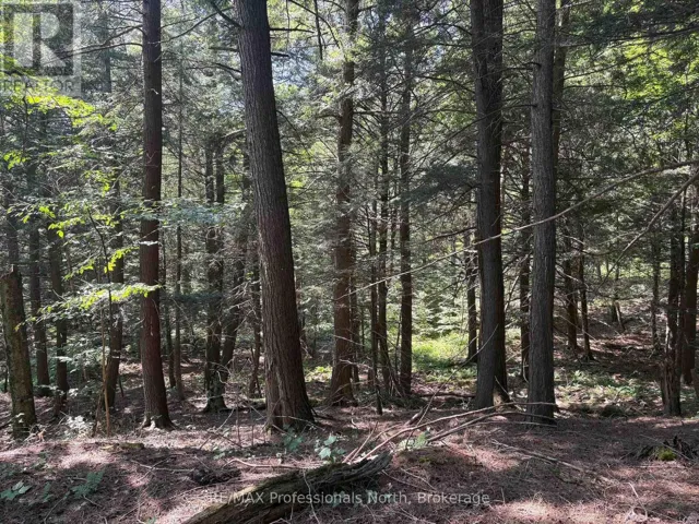 780
