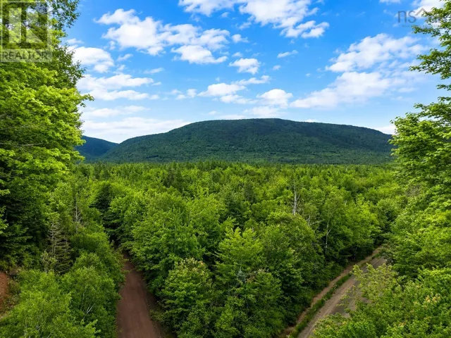 0 Mt.Pleasant Big Brook Rd., North East Margaree, Nova Scotia B0E2H0