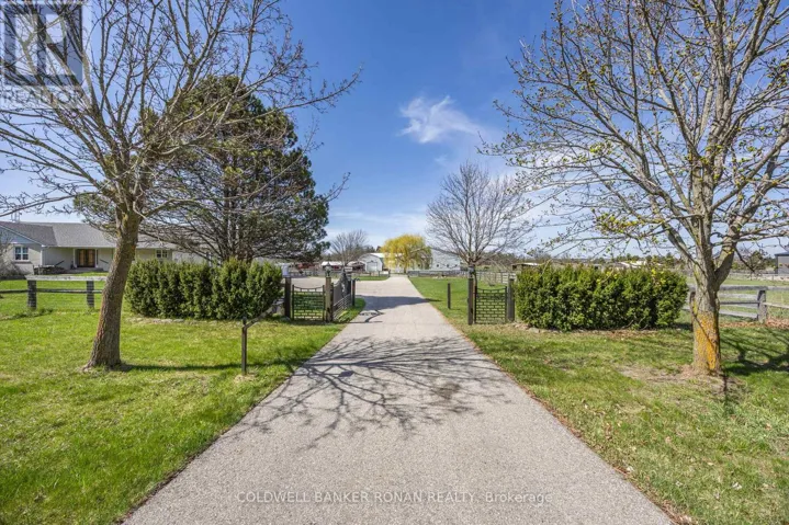 8058 20TH SIDE ROAD, Adjala-Tosorontio, Ontario L0G1L0