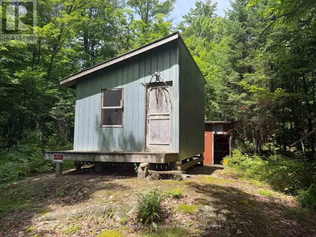 Welcoming Hunt Camp with Wood Stove
