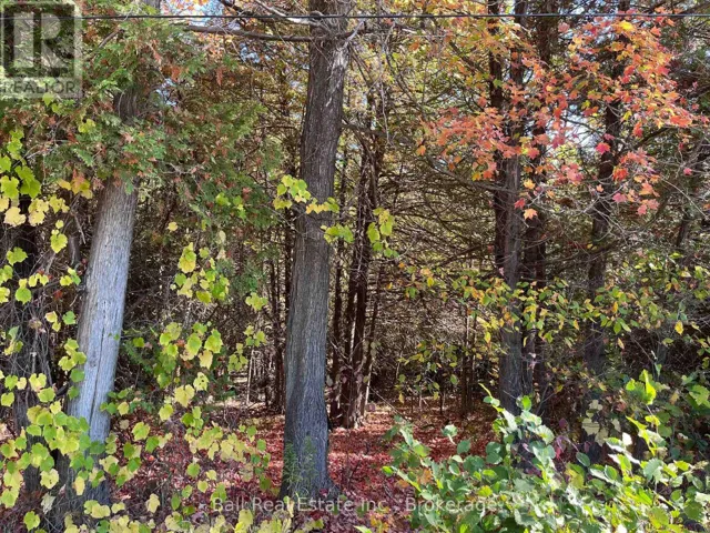 0 KOA ROAD, Marmora and Lake (Marmora Ward), Ontario K0K2M0
