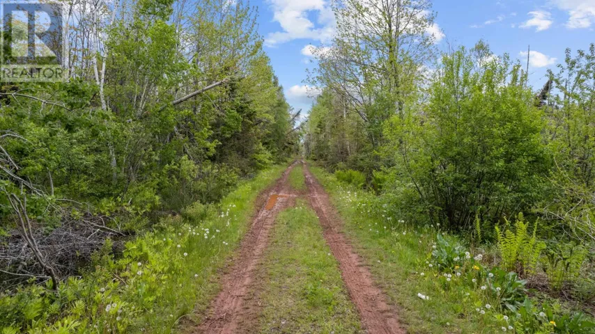 0 Adams Road, Fanning Brook, Prince Edward Island C0A1T0