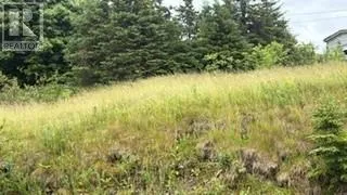 #37 Neary's Pond Road, Portugal Cove, Newfoundland & Labrador A1M3A9