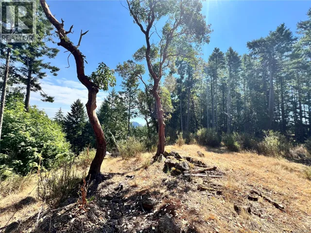 131 Rainforest Rd, Salt Spring, British Columbia V8K1S4