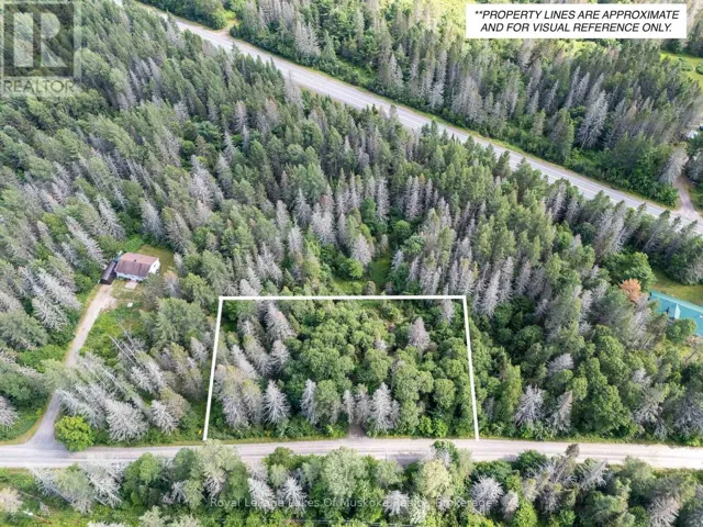 Existing Camp