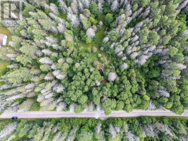 780