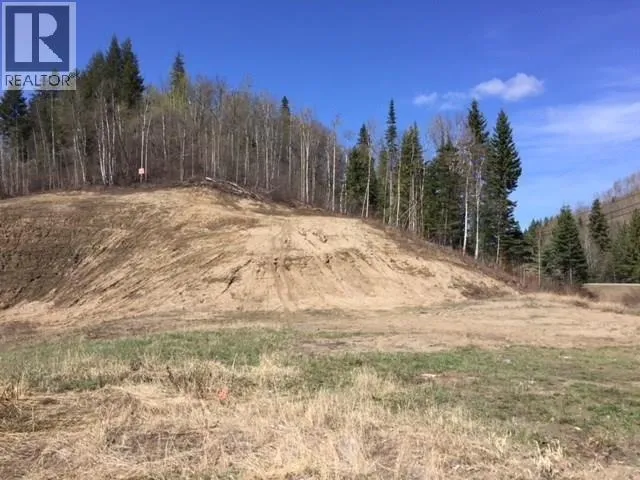 1397 E NORANDA ROAD, Prince George, British Columbia V2K5R6