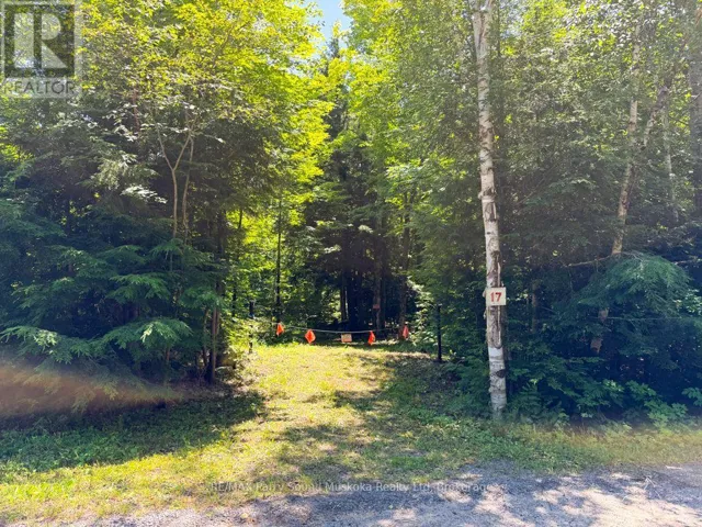 17 WHITE BEAVER TRAIL, McDougall, Ontario P2A2W7