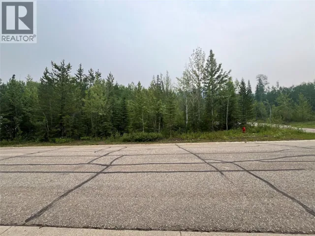 8 Wapiti Place, Tumbler Ridge, British Columbia V0C2W0