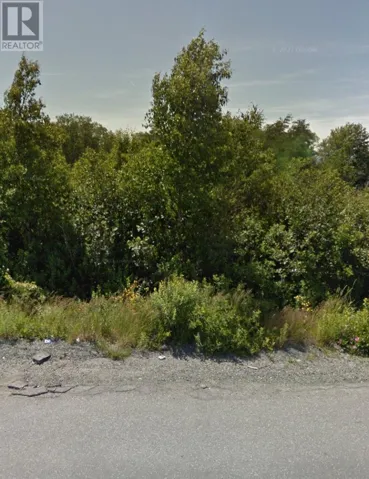 40 Middle Bight Road, Conception Bay South, Newfoundland & Labrador None